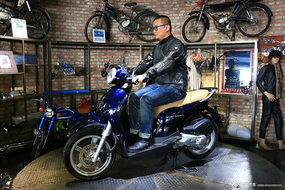 文艺绵羊阿普利亚圣甲虫200实拍组图欣赏